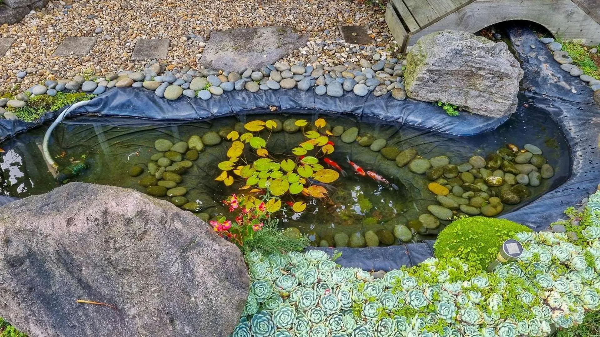 Cosy Garden Home Rotorua New Zealand