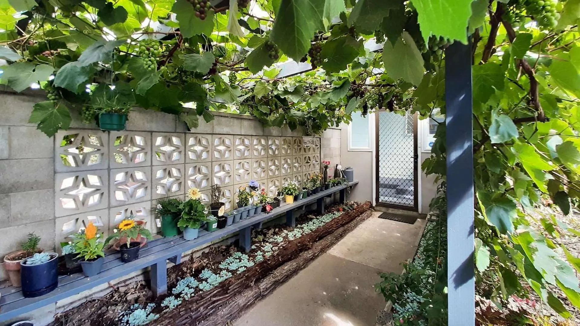 Cosy Garden Home روتوروا